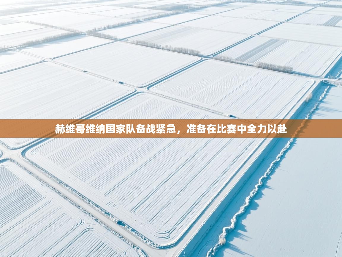 赫维哥维纳国家队备战紧急，准备在比赛中全力以赴  第1张