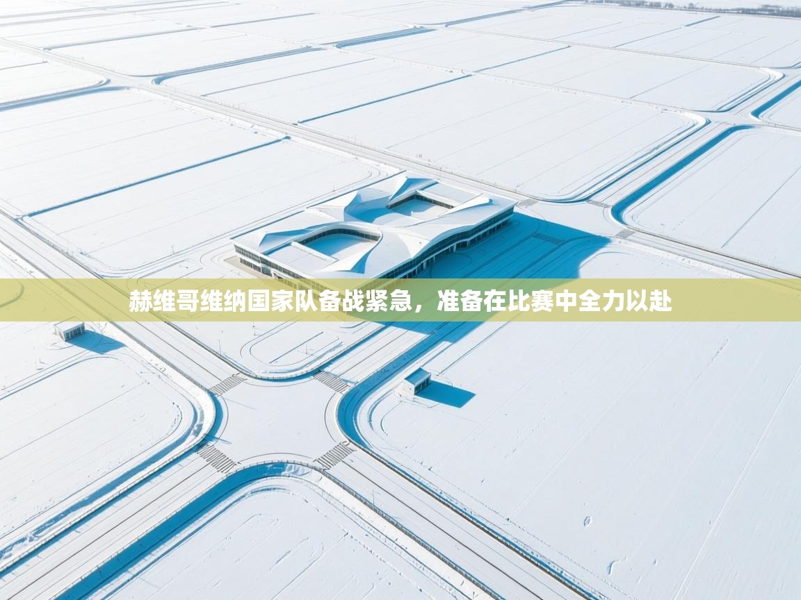 赫维哥维纳国家队备战紧急，准备在比赛中全力以赴  第2张